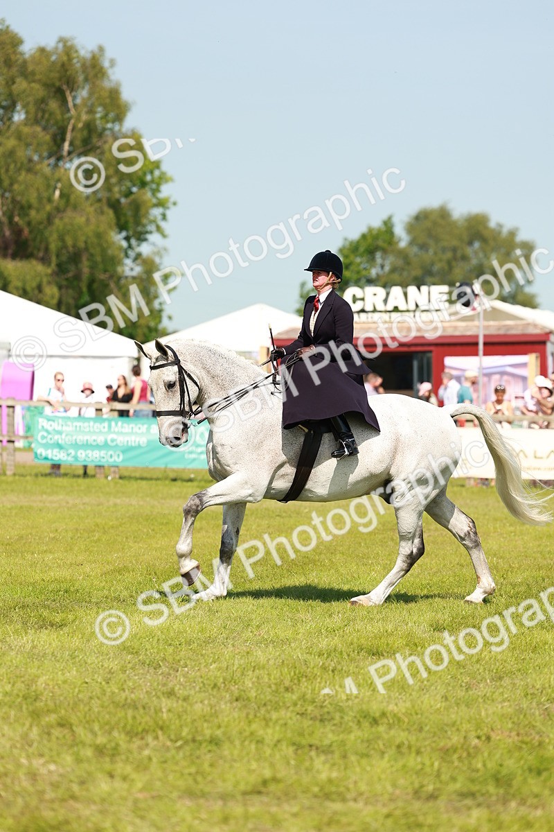 SBM_13336 - Class 70-71 - Side Saddle