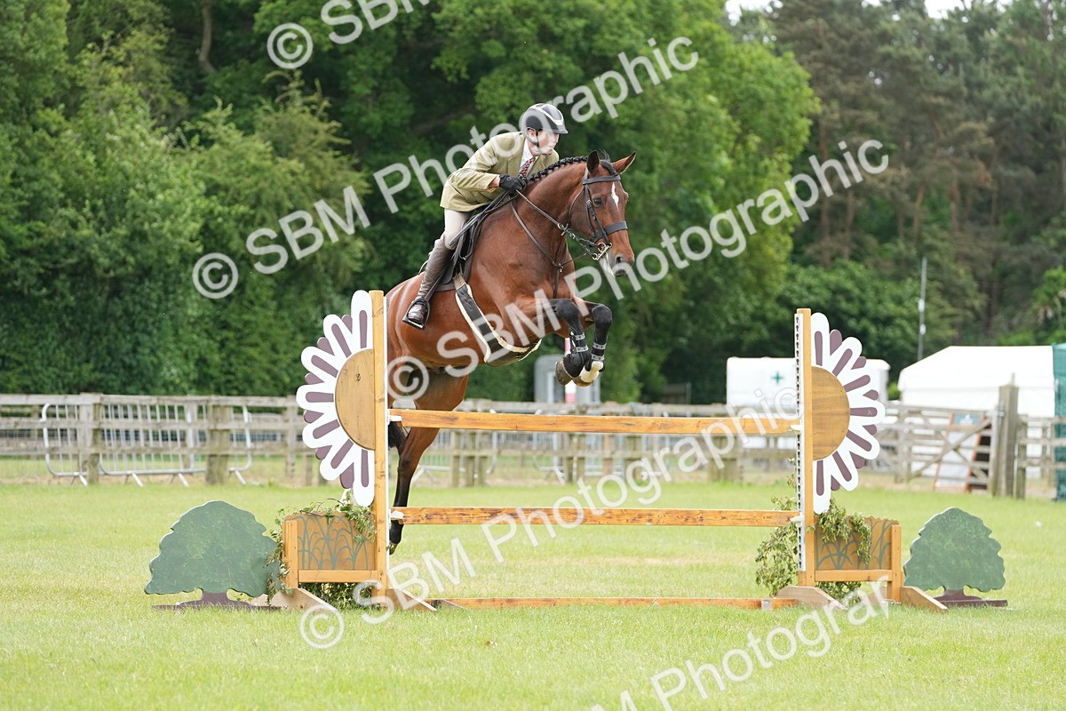 SBM_14940 - Class 100-102 - RIHS Working Hunter