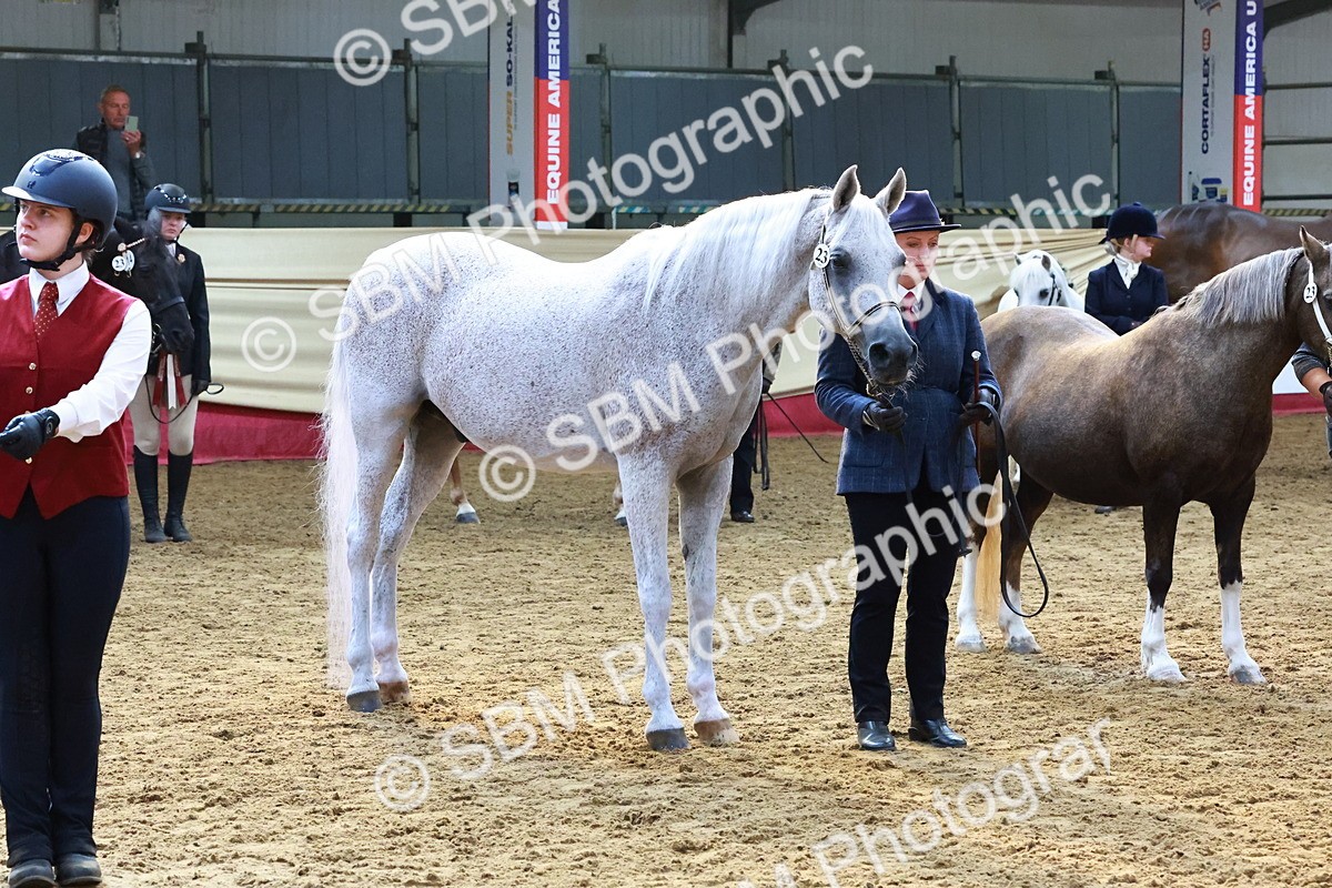 SBM_22414 - Class 902 - Supreme Final - IH Diamond