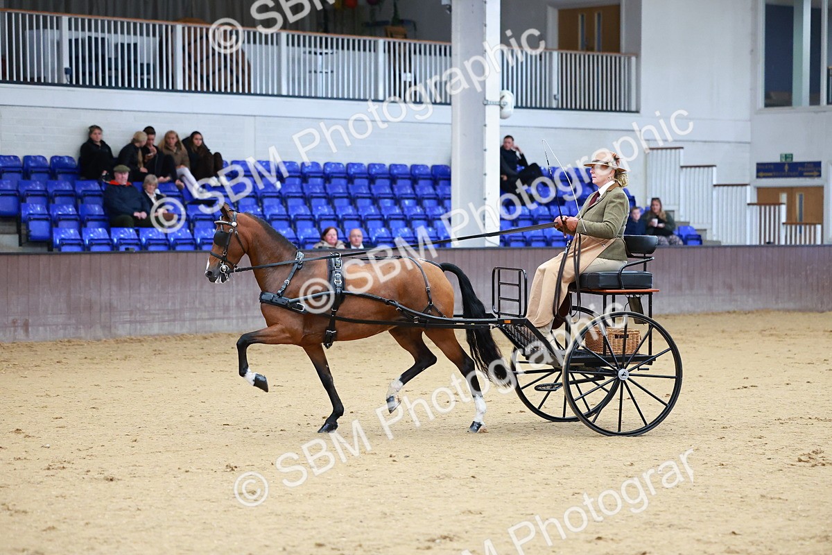 SBM_000125 - Class 3 - Alison Thomas Memorial Lady Whip