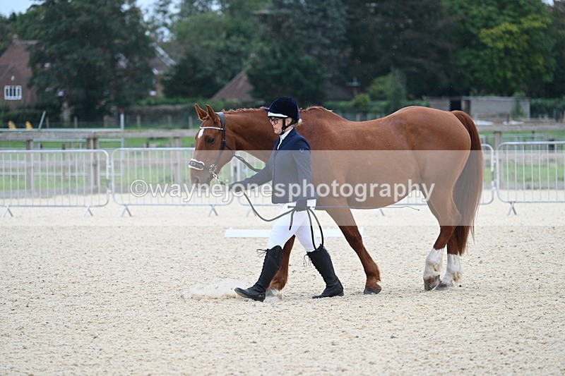 WJ7_1766 - Class 1 & Champs