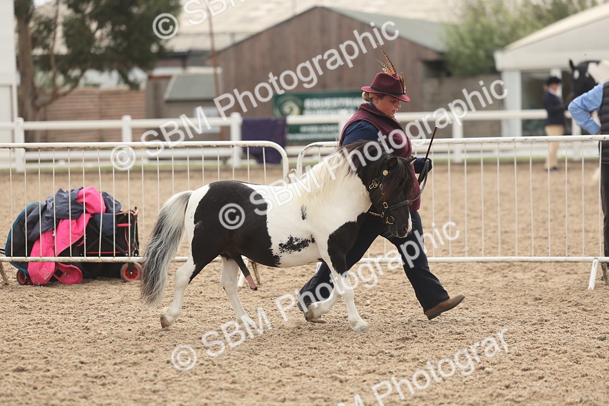 SBM_03224 - Class 16 - IH M&M Wildcard