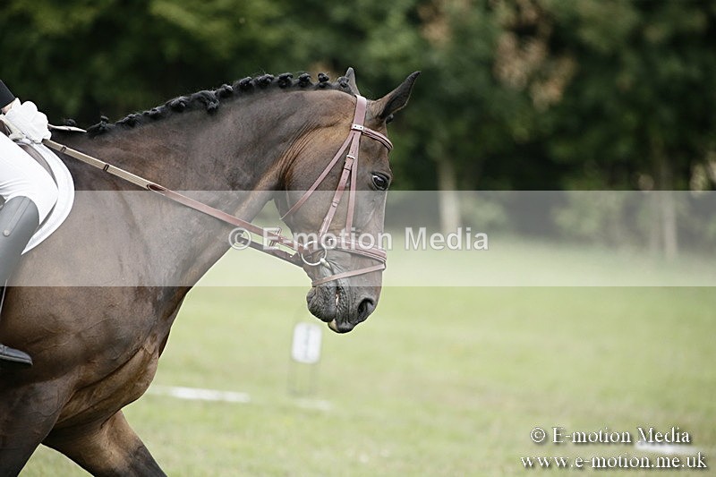 BVR090918 225 - BVRC Dressage and Show Jumping 09/09/18