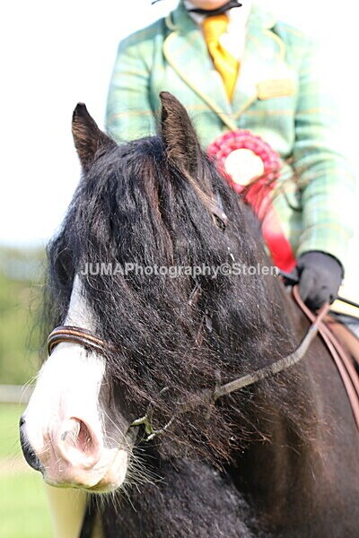 SIAL6898 - championships