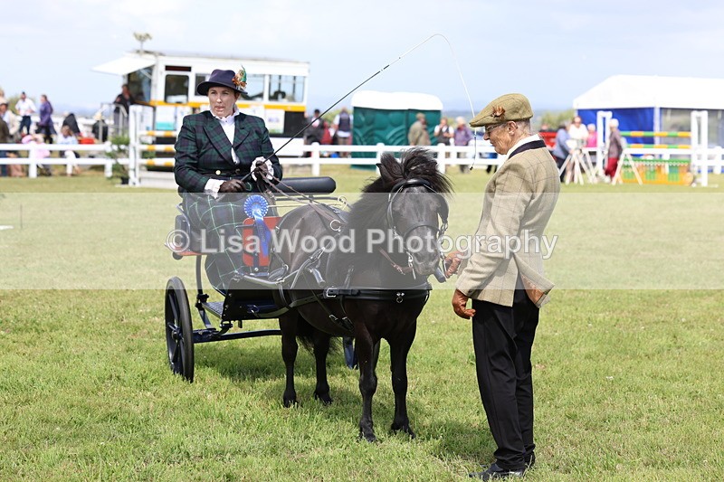 3E7A2818 - Class 12: Open Driving