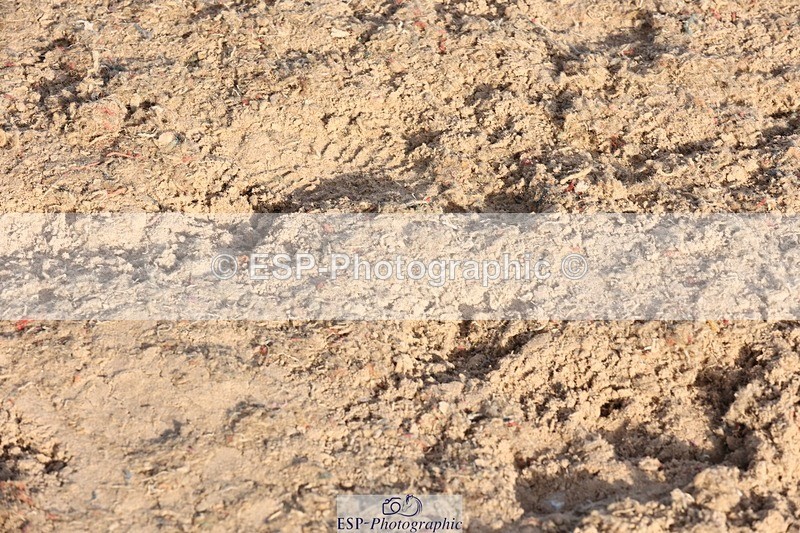 250629-190940-14116 - Cls 39-41 Children on Horses