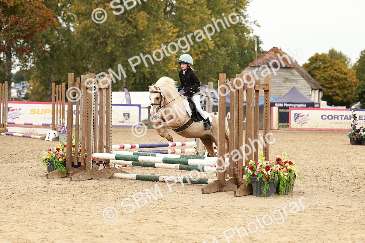 SBM_57911 - J11 - Junior Pony 50cm Championship