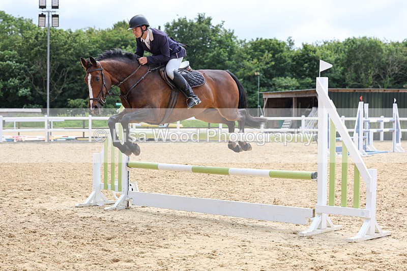 3E7A4362 - Class 8: Senior Foxhunter/1.20 open