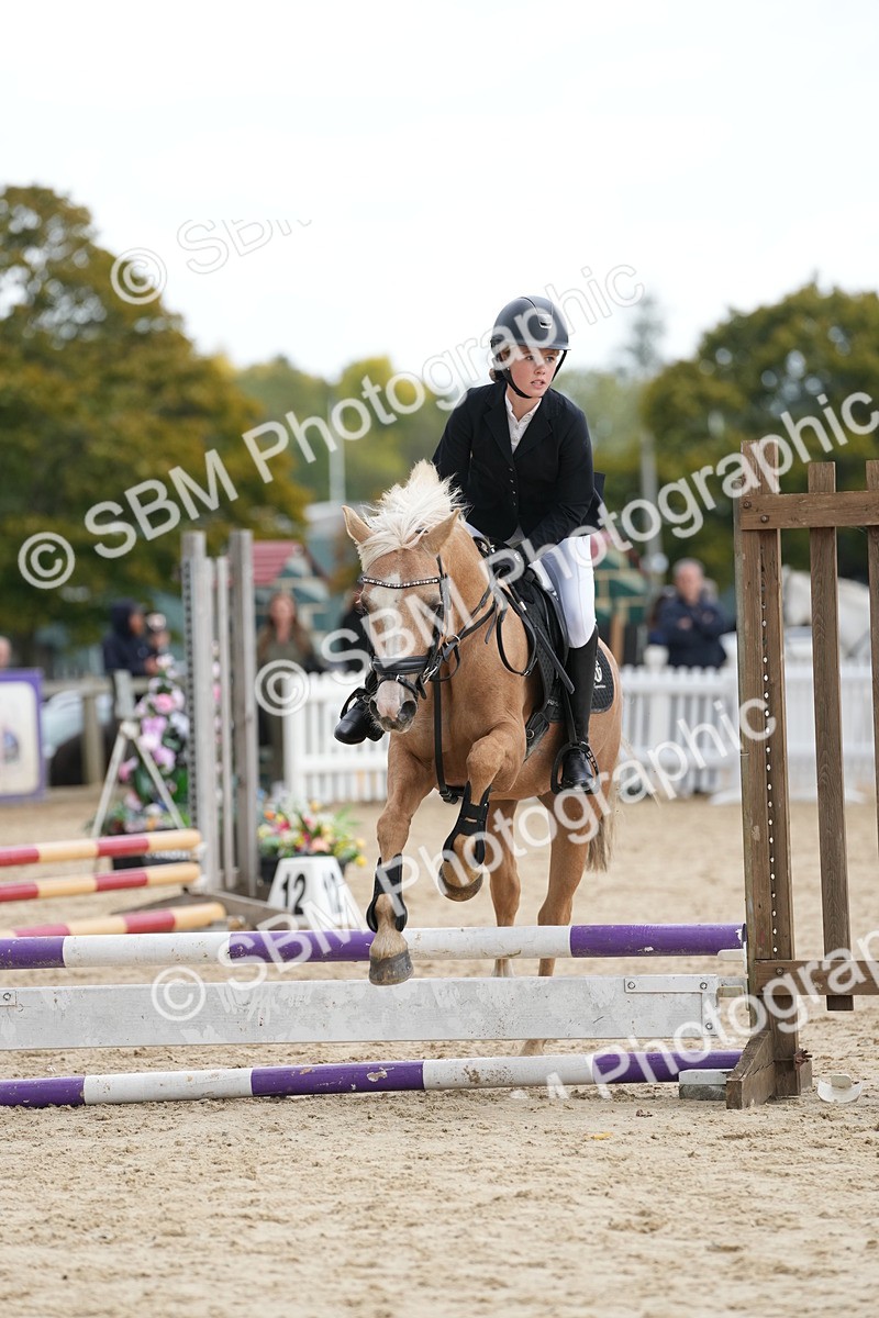 SBM_19639 - J49 - Open 50cm