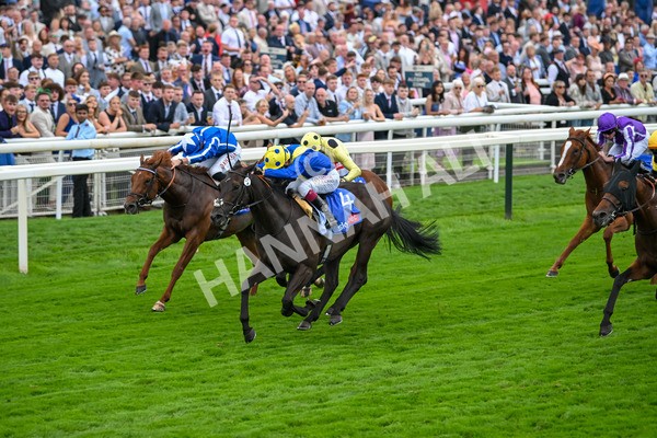 230825-Race 3-Never So Brave-0081 - Race 3 3.00pm Sky Bet City Of York Stakes