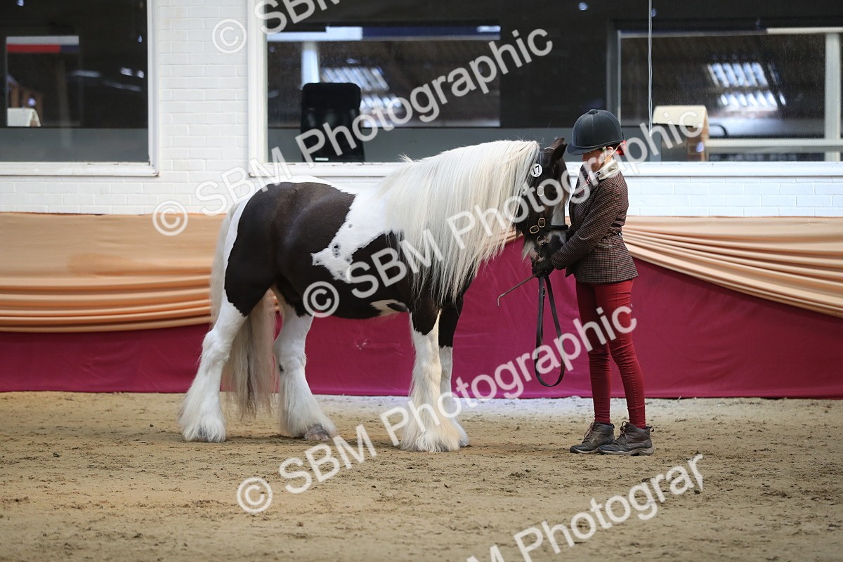 SBM_01360 - Class 3a Area IH Pre Vet