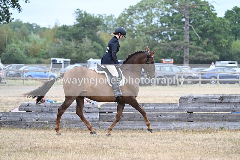 WJ7_0871 - Class 7 Riding Club Show Horse