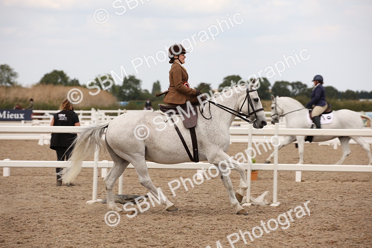 SBM_05526 - Class 22 SSA Equitation