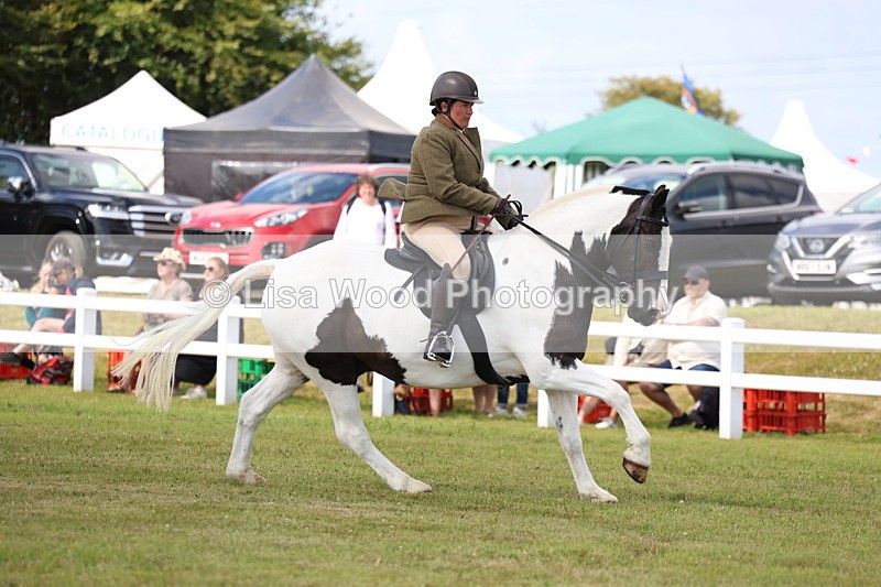 3E7A9709 - Class 5: Rising Star Lightweight/Heavyweight Cobs