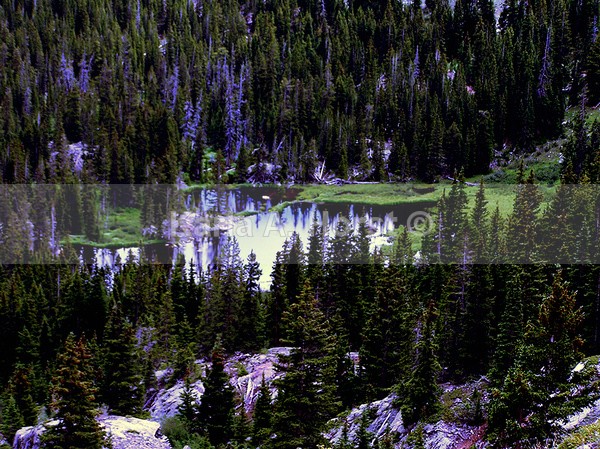 Mountain Pool - Photos