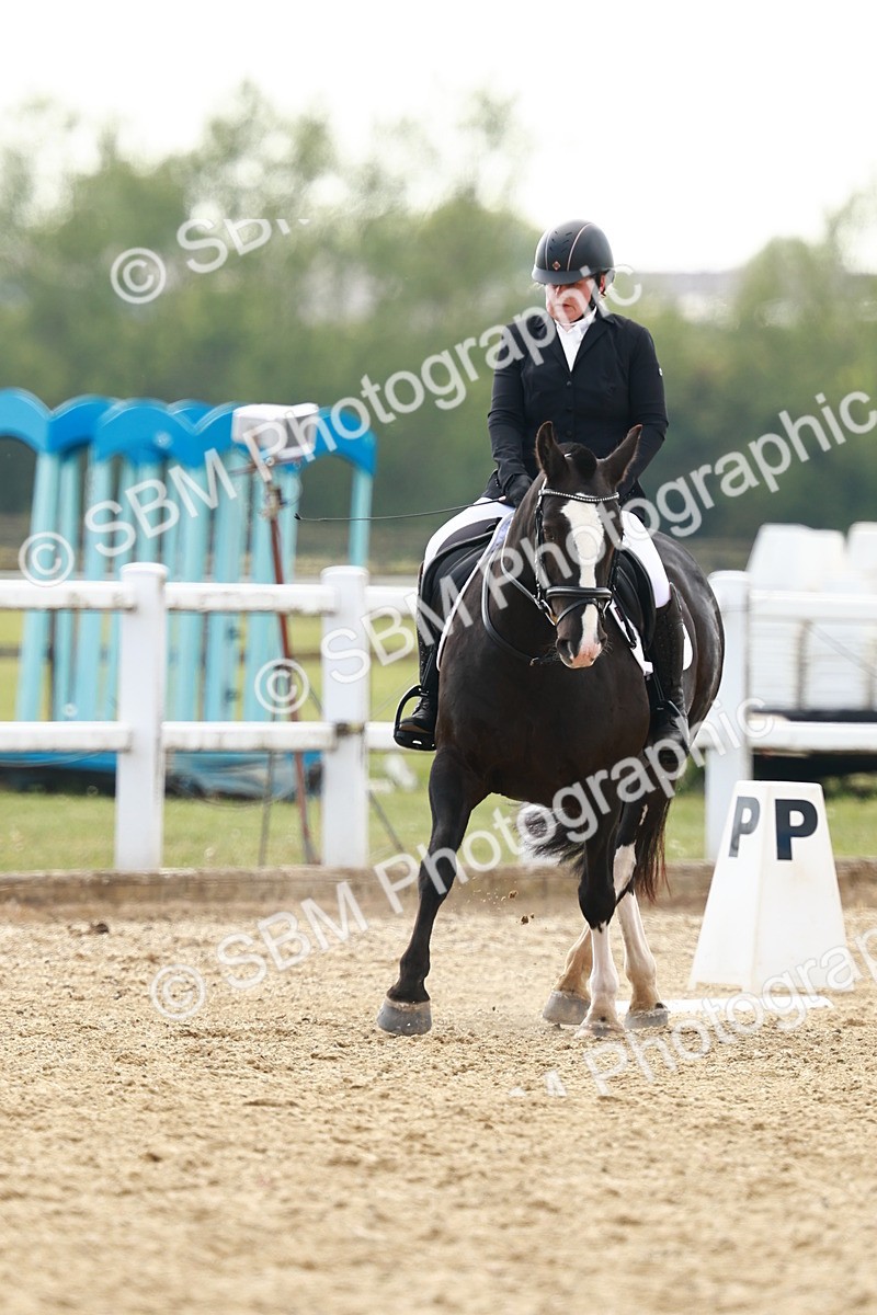 SBM_003202 - Class 13 - Medium 5