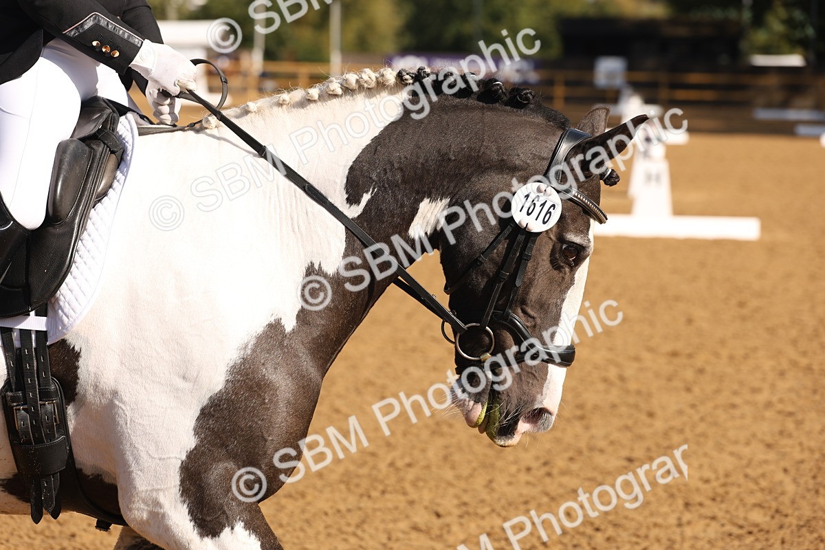SBM_37658 - D18 - Grand Tour Championship Novice 2