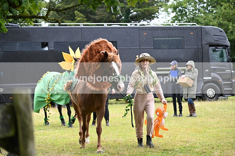 WJ6_9045 - Class 11 Fancy Dress