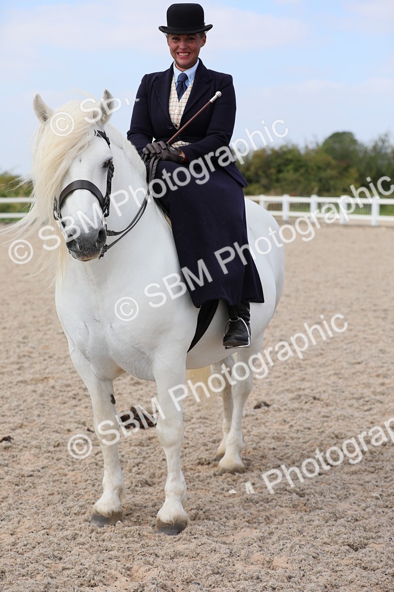 SBM_14611 - Class 211 Best Side Saddle Horse/Pony