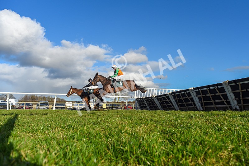 120224-Race 3-Tap N Go Leo-5609 - Race 3