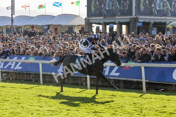 141023-Race 5-Certain Lad-0541 - Race 5 3.35pm Coral Racing Bet Bundles Handicap