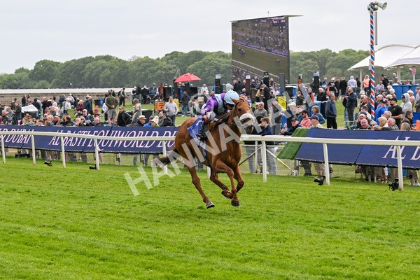 150525-See The Fire-4460 - Race 3 3.13pm Al Basti Equiworld Dubai Middleton Fillies' Stakes