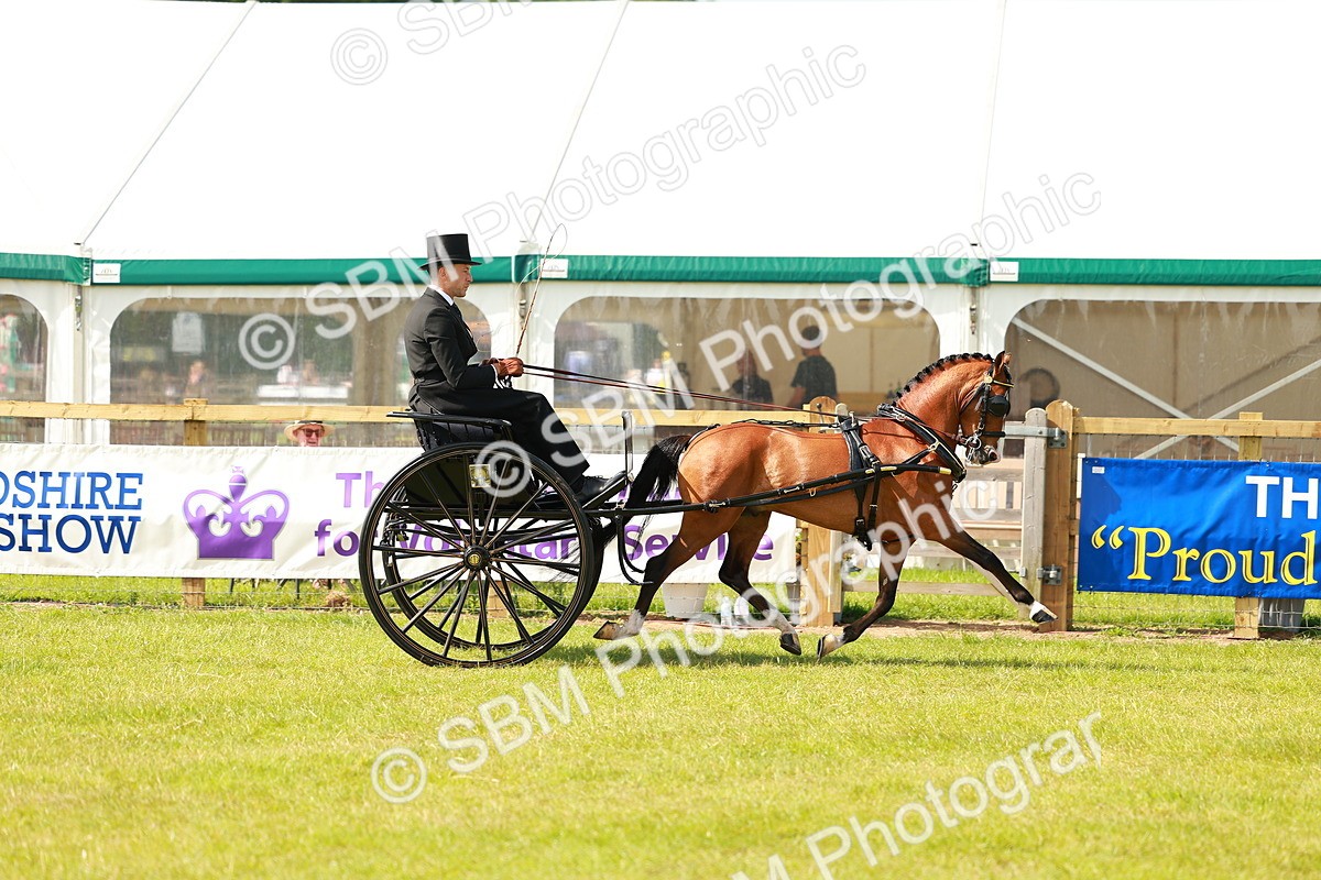 SBM_02721 - Class 2-4 - HOYS Private Driving
