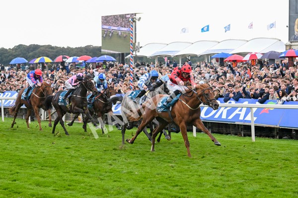 121024-Race 4-Fearless Freddy-3152 - Race 4 3.15pm Play Coral Racing-Super-Series For Free Nursery Handicap