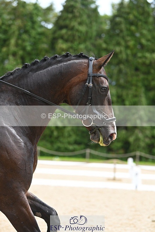 230813-125715-07193 - Cls 13 Medium Bronze Start to 13.00 break