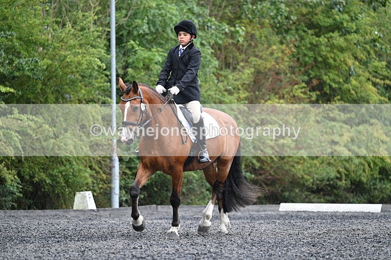 WJ7_6114 - Time 11:38 to 12:03