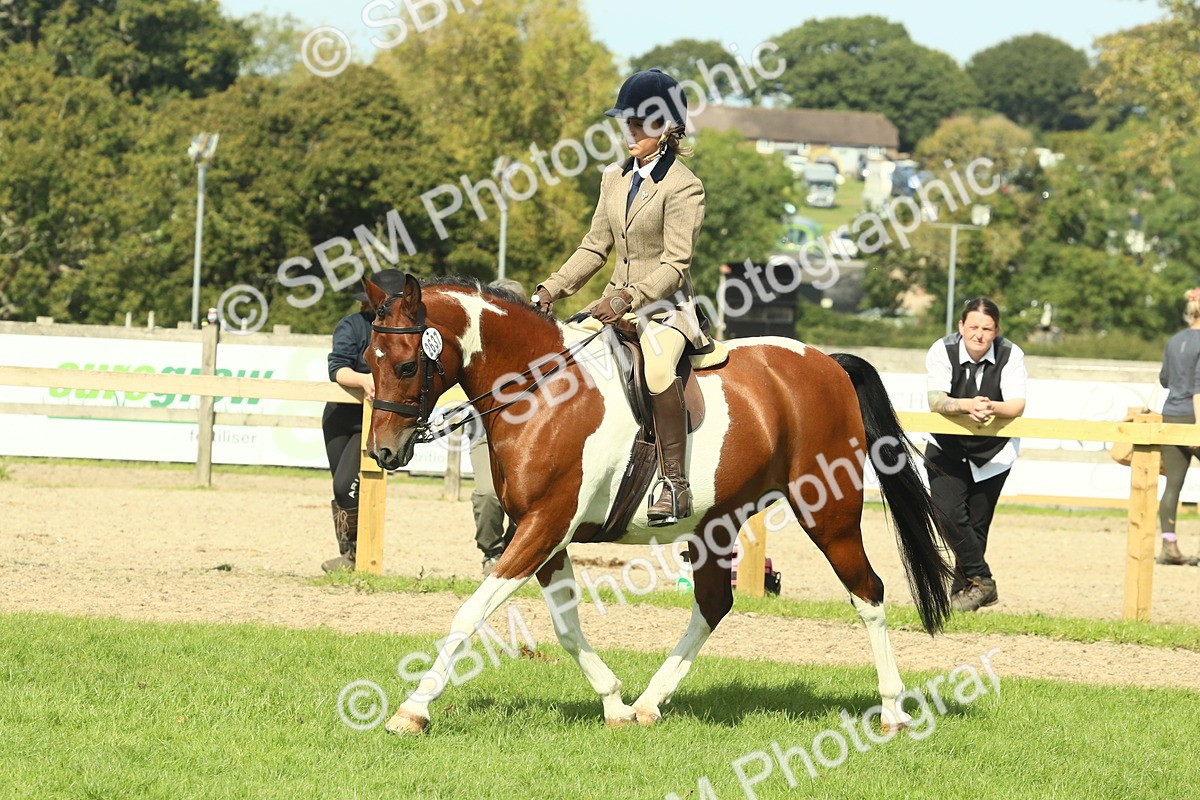 SBM_67514 - S56 - Coloured Pony Ridden