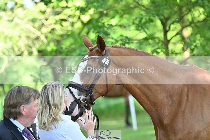 250521A-160159-00876 - C-227-Jonelle.Price-I.LIKE.IT.DE.ROHAN