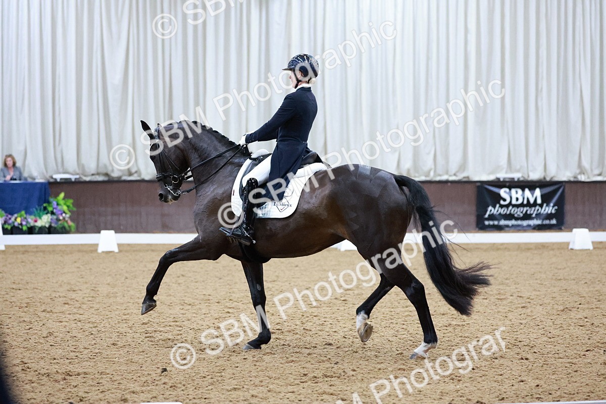 SBM_021706 - Class 14 - FEI Grand Prix - 18.52-19.37