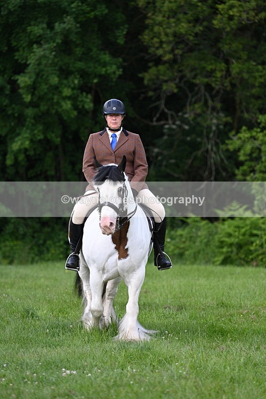 WJ7_1022 - Class 11 Condition & Turnout