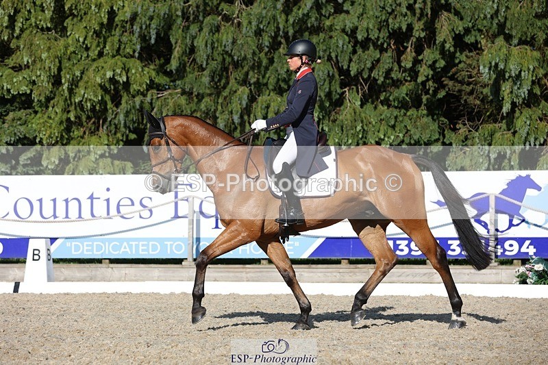 230526-175215-08049 - 182-HARTHILL_FLAMENCO-Izzy_Taylor-WEDTrotUp+DR