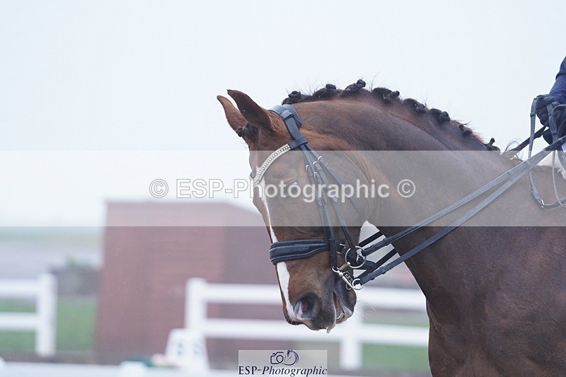 250215-110538-03416 - 104-Jos.Maude-Dea.II