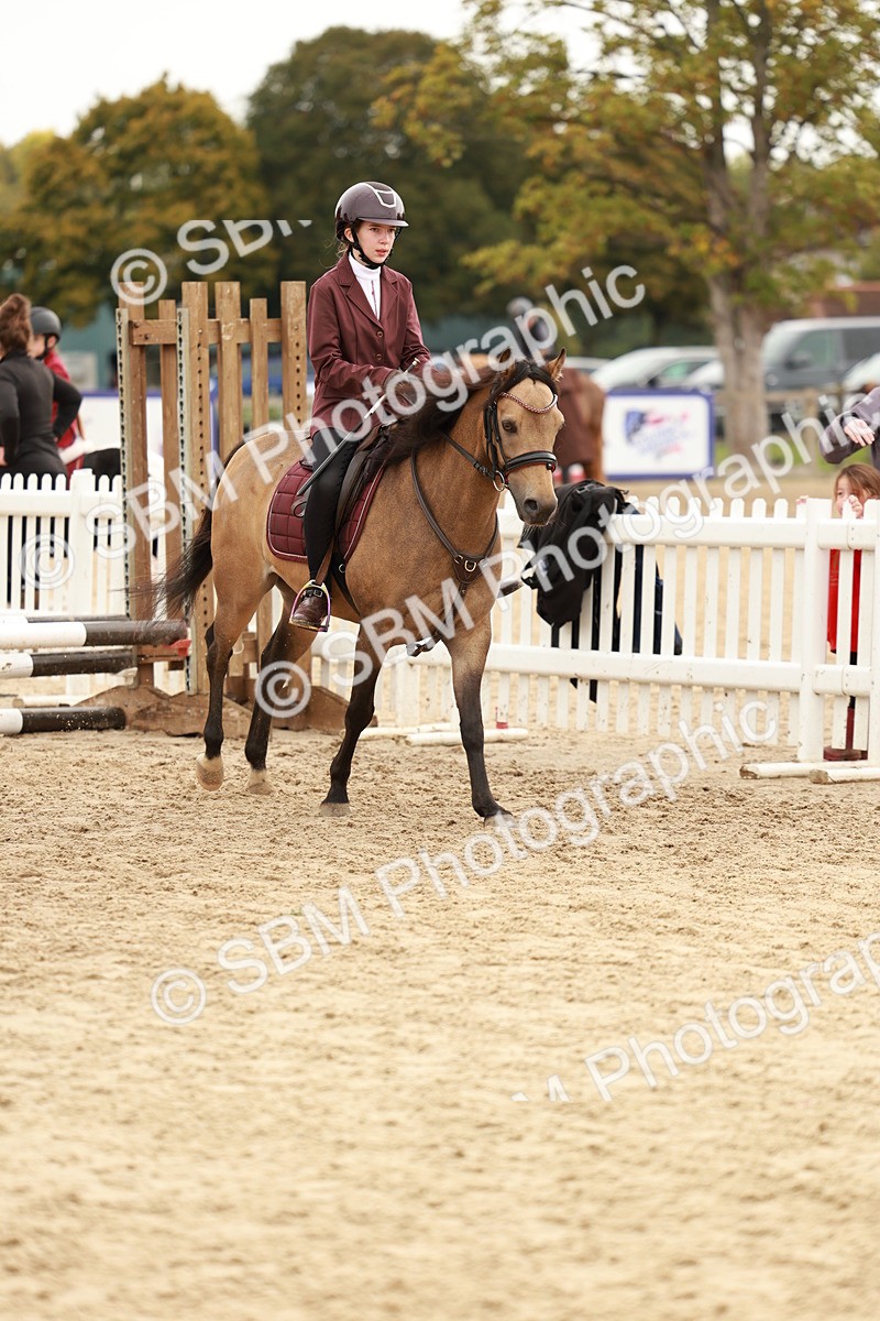 SBM_57846 - J11 - Junior Pony 50cm Championship