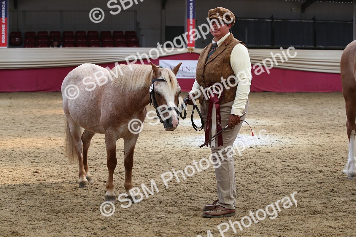 SBM_05430 - Class 8R - Regional IH Veteran