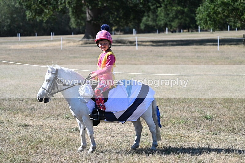WJ7_2503 - Class 45 Fancy Dress (My Fav)