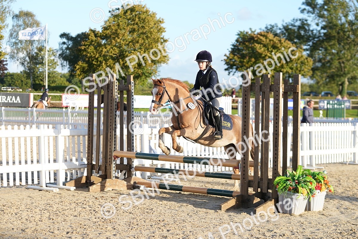 SBM_54081 - Supreme Championship 60cm 65cm