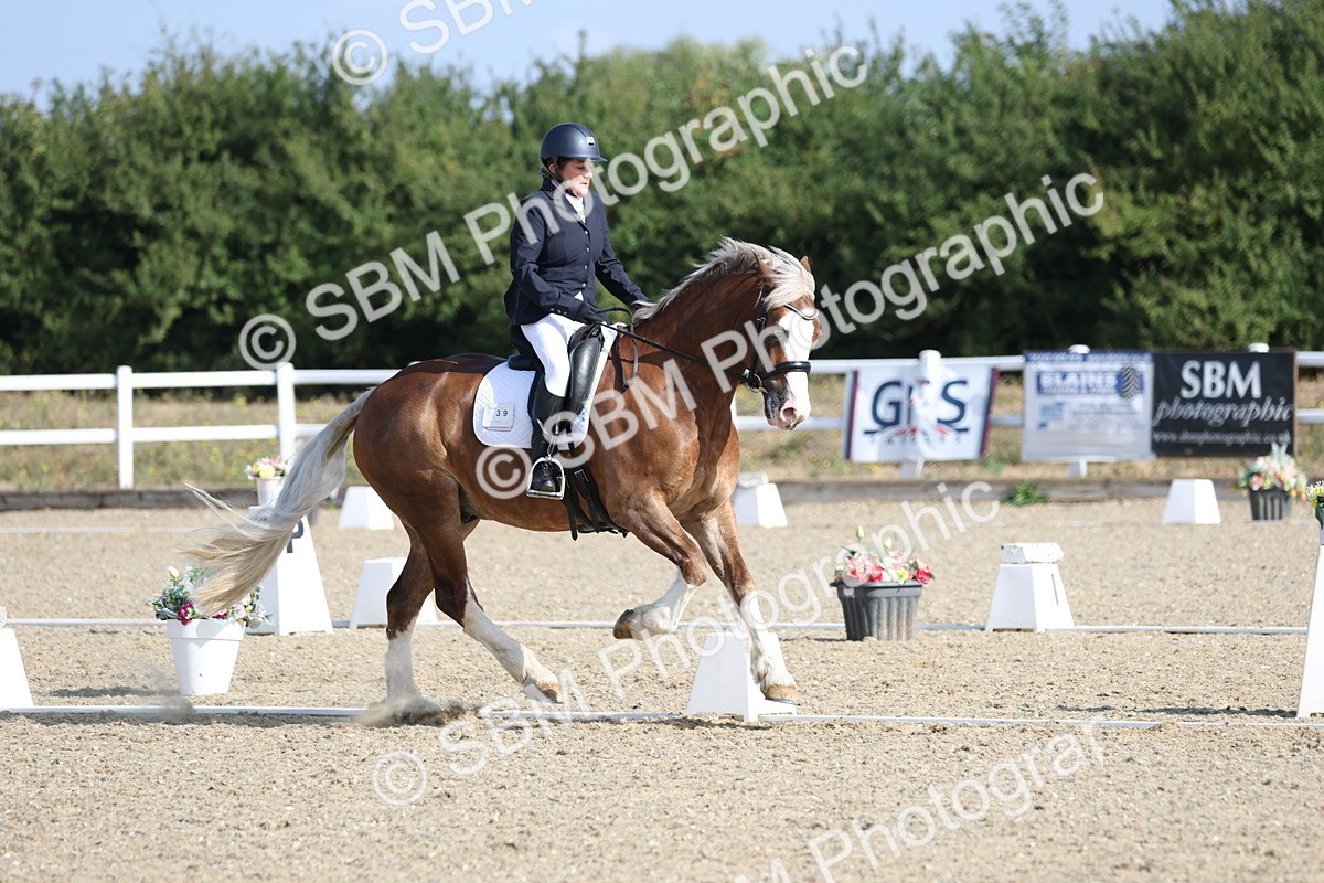SBM_020260 - Class 21 - M5 Bronze 9.30.10.34