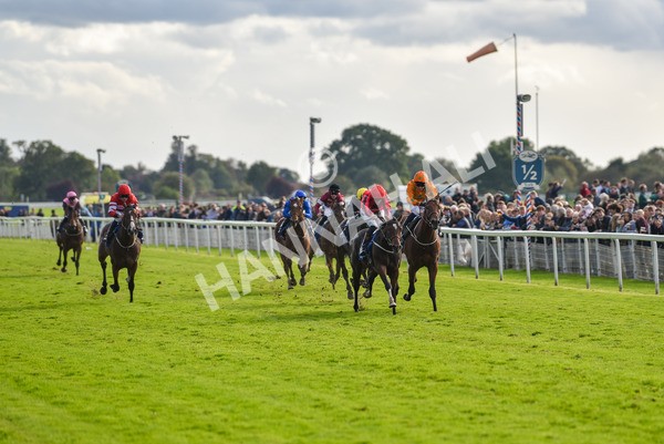 141023-Race 4-Colorada Dancer-1169 - Race 4 3.05pm Coral Racing Club EBF Maiden Stakes