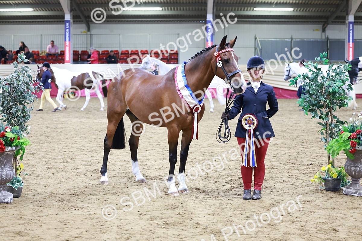 SBM_20146 - Class C - Novalty Champ