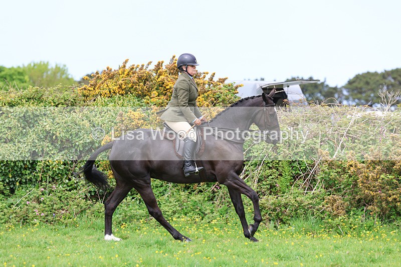 3E7A1322 - Class 7: Ridden Hunter Type