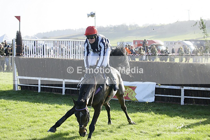 PtP 300122 38 - South Dorset Hunt - Point-to-Point Races 30/01/2022
