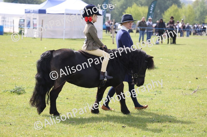 20260426-2564 - Class 31 - Leading Rein