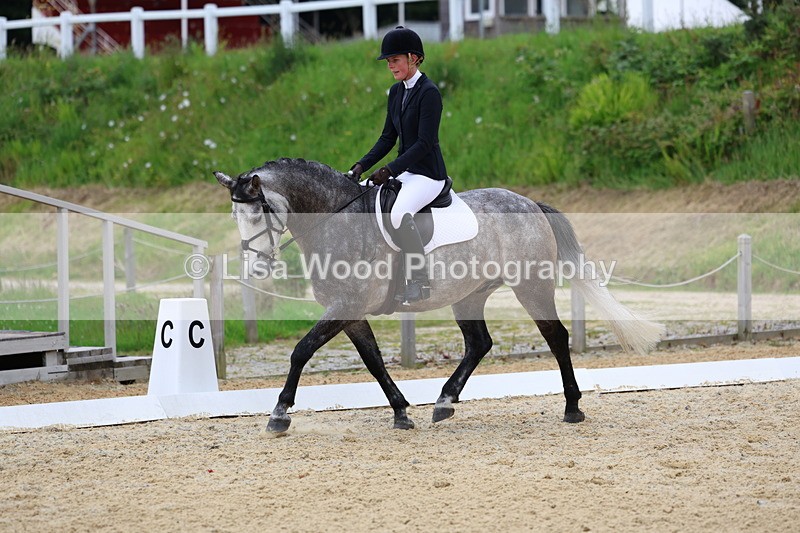 3E7A1710 - Class 2: Intro 2 2024 Section B