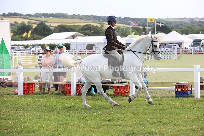 JPP_3874 - Class 23: Working Hunter 80cm