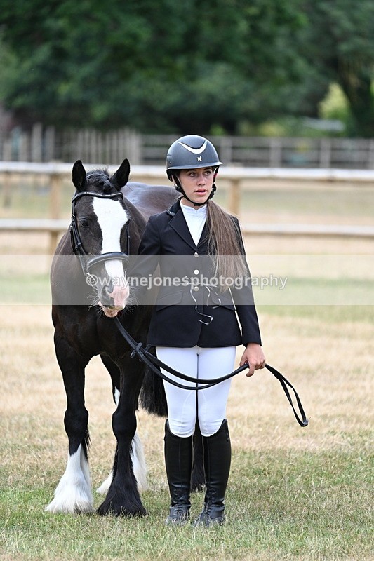 WJ7_1487 - Class 4 Prettiest Mare up to 14.2hh in hand