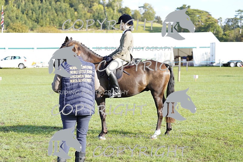_DSC9410 - Class 8 & 17 Ridden Hunter & Ridden Hunter Pony